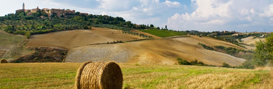 Pienza - Val d'Orcia