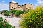 Agriturismo Il Macchione Pienza